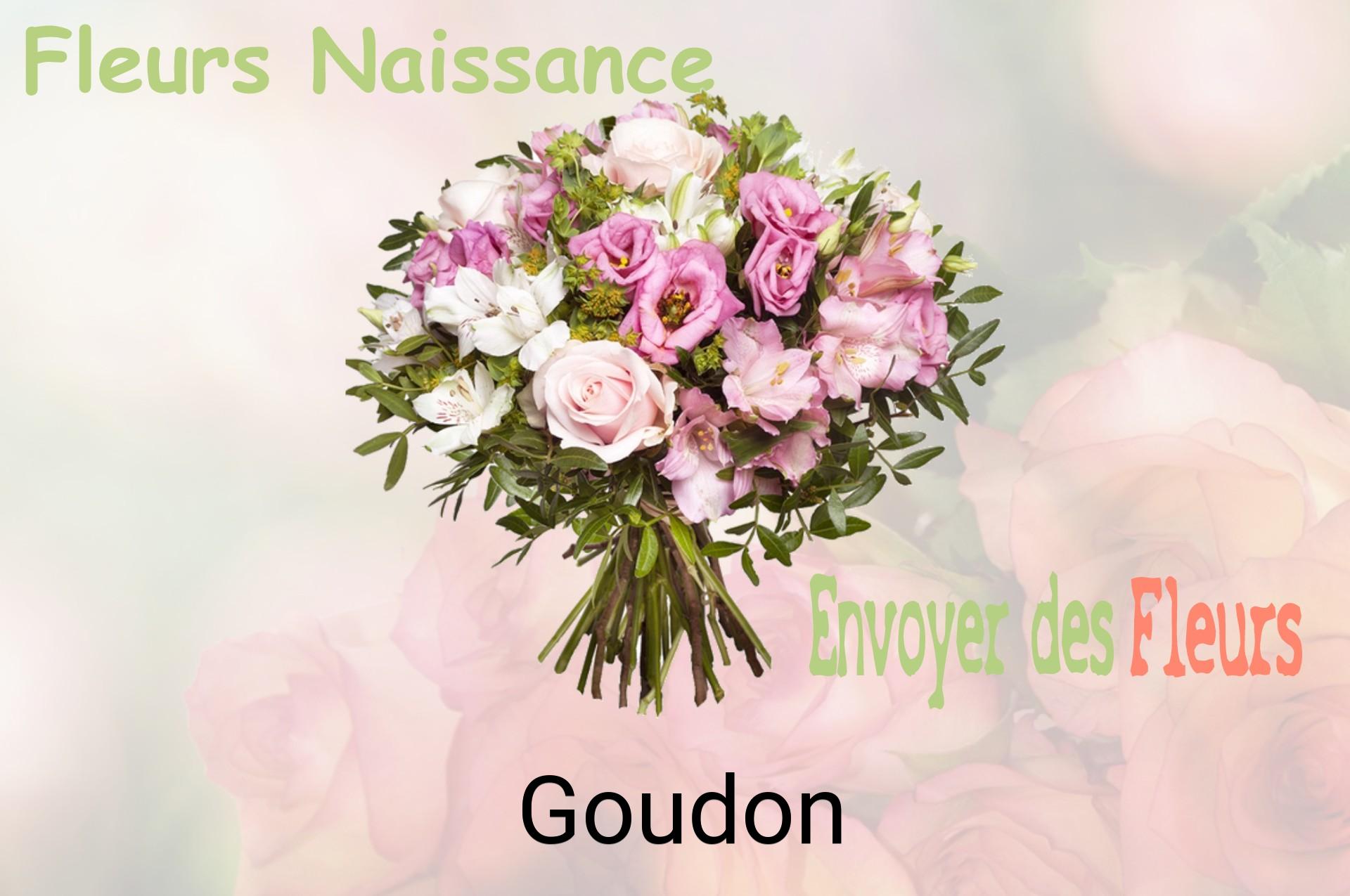 Bouquet de fleurs de naissance livré à Goudon